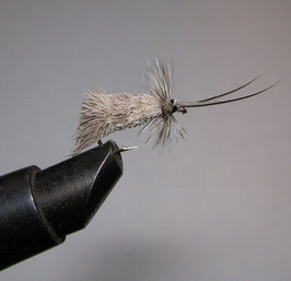 ���� Goddard Caddis Natural / Gray Kumho � 14